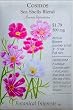 Heirloom Cosmos Sea Shell Blend Seeds 40 Seeds