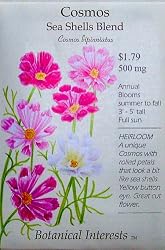 Heirloom Cosmos Sea Shell Blend Seeds 40 Seeds