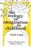 The Ecology of Imagination in Childhood