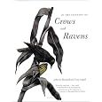 In the Company of Crows and Ravens