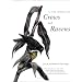 In the Company of Crows and Ravens