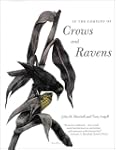 In the Company of Crows and Ravens