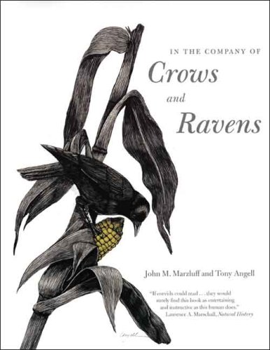 In the Company of Crows and Ravens under Animals in The Books Store