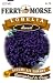 Ferry-Morse 1074 Lobelia Annual Flower Seeds, Crystal Palace (125 Milligram Packet)