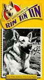 Review Winstar  / Rin Tin Tin: Wild Stallion