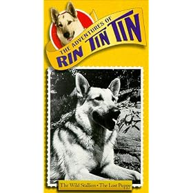 Rin Tin Tin: Wild Stallion [VHS]