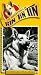 Search : Rin Tin Tin: Wild Stallion