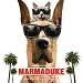 Marmaduke