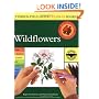 Wildflowers (Peterson Field Guide Color-in Books)