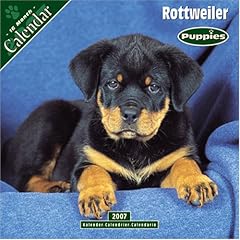 Rottweiler Puppies 2007 Wall Calendar (Calendar)