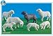 Sheep (4) with Lambs