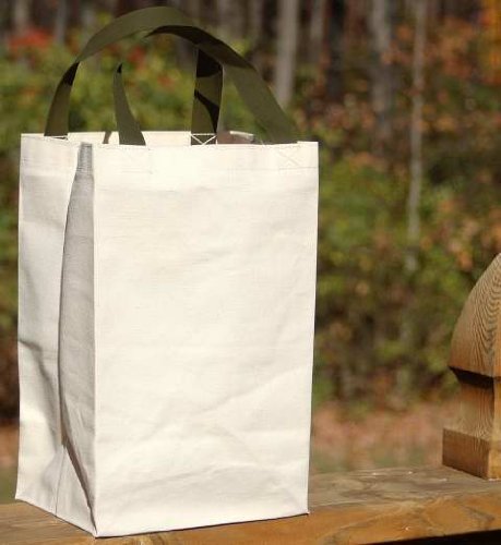 Small Size Canvas Gift Bag Grocery Bag Tote - Single Pak - Made in USA