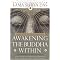 Enlightenment - The easy way!