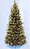 9.5' Slim Glittery Pine Pre-Lit Artificial Christmas Tree - Clear Lights