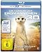 Produkt-Bild: Die K&ouml;nigin der Erdm&auml;nnchen [3D Blu-ray + 2D Version]