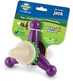 PetSafe Busy Buddy Jack Dog Toy, Medium