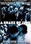 A Snake of June A Snake of June