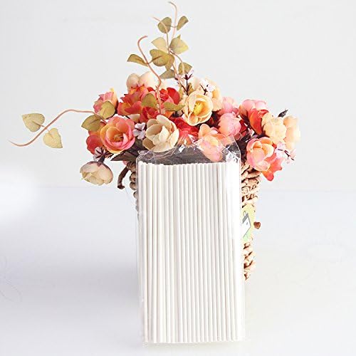 YEST 100pcs/lot 6"(15cm) Cake Pop Sucker Paper Sticks Lollipop Candy Lolly Sturdy Fun Food Safe 6" Lollipop Sticks Count of 100 (White)