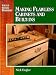 Book Making flawless cabin (Secrets of Successful Woodworking)