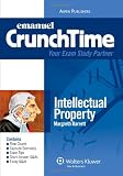 Intellectual Property Crunchtime 2009