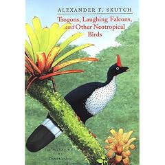 Trogons, Laughing Falcons, and Other Neotropical Birds