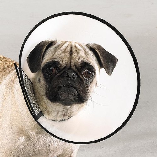 Top Performance Plastic Elizabethan Pet Collar, XX-Large, 14 to 20-Inch