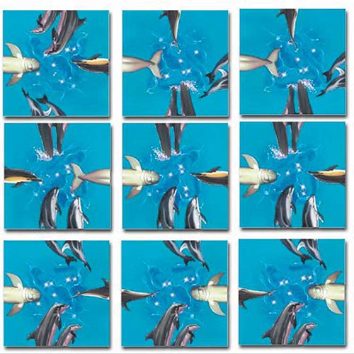Scramble Squares: Dolphins