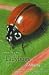 Ladybugs of Alberta: Finding the Spots and Connecting the Dots (Alberta Insects): Finding the Spots and Connecting the Dots (Alberta Insects)