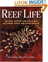 Reef Life