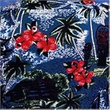 Review Dirty Beatniks  / One one seven in the shade (1996)