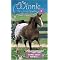Winnie the horse Gentler