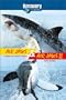 Air Jaws/Air Jaws II