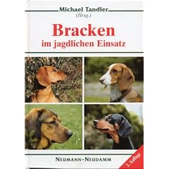 Bracken im jagdlichen Einsatz