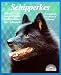 Schipperkes (Barron's Complete Pet Owner's Manuals)