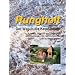 Rungholt - der Weg in die Katastrophe. Aufstieg, Bl�tezeit und Untergang eines bedeutenden mittelalterlichen Ortes in Nordfriesland: Rungholt, Der Weg ... Epilog: die Geschichte im Zeitraffer: BD II