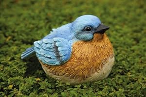 Bluebird Portly - Medium