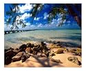Rum Point Jetty, Cayman Islands Photographic Poster Print by George Oze, 24x20