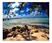 Rum Point Jetty, Cayman Islands Photographic Poster Print by George Oze, 10x8
