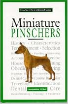 New Owners Miniature Pinscher