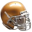 Schutt Collectible Mini Football Helmet (Notre Dame)