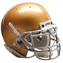 Schutt Collectible Mini Football Helmet (Notre Dame)