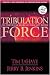 Tribulation Force  (Left Behind Series #2)
