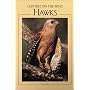 Hawks: Hunters on the Wing de Dick Dekker