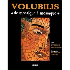 Volubilis. De mosa�que � mosa�que