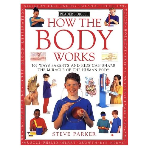 How the body works