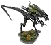 Electronics : Alien vs Predator Playset Alien Queen with Base