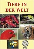 Tiere in der Welt DVD