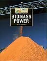 Biomass Power: Facts, Issues, The Future (Energy Sources)