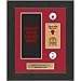 Chicago Bulls NBA Framed Ticket Displays