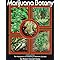 2006 Cannabis Marijuana Weed Pot (Know Before You Grow!)